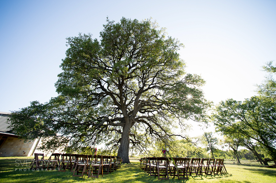 Oak Tree Wedding Ceremony Fredericksburg, Hill Country