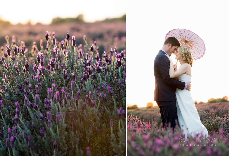 Lavender Field Wedding - Becker Vineyard