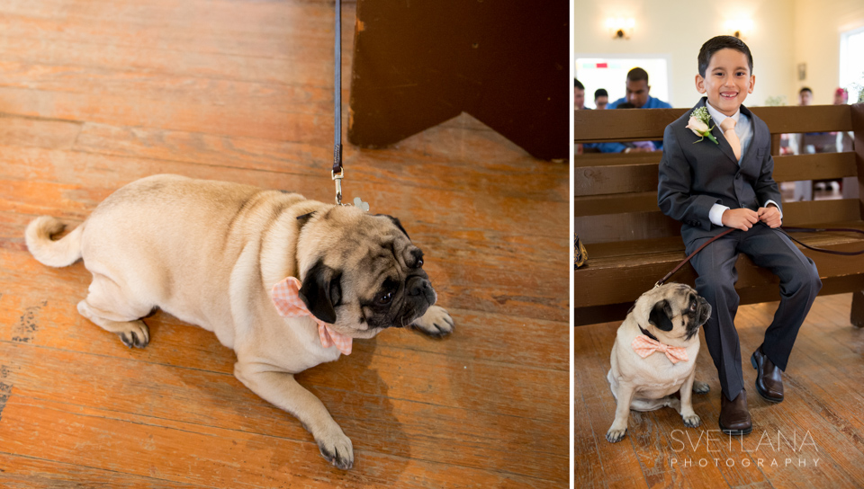 The bride and groom included their pug Jackson in the wedding day since the family isn't complete without him!