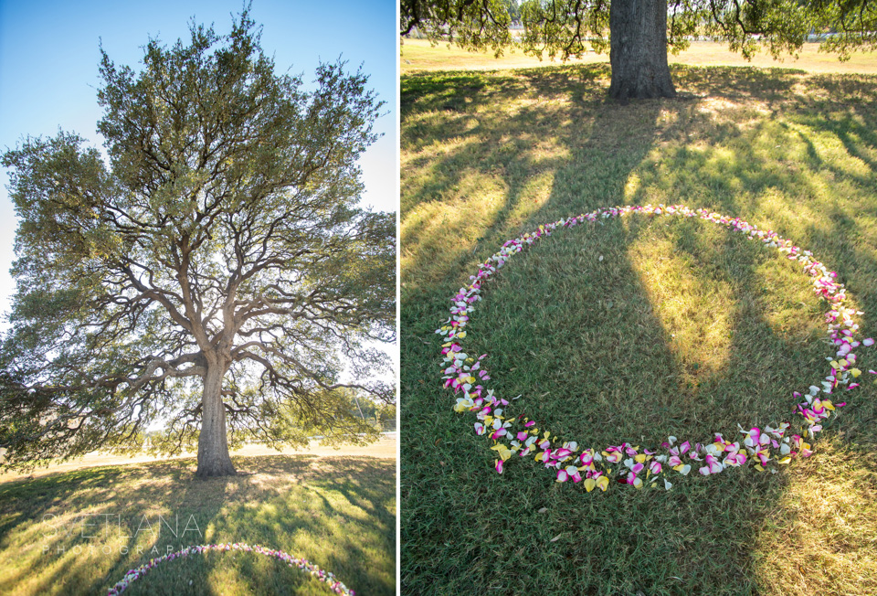 Oak_Tree_Wedding_Ceremony-5